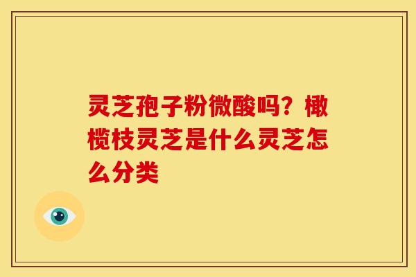 灵芝孢子粉微酸吗?橄榄枝灵芝是什么灵芝怎么分类