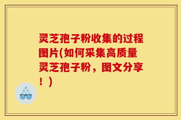 灵芝孢子粉收集的过程图片(如何采集高质量灵芝孢子粉,图文分享!)
