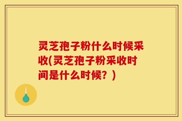 灵芝孢子粉什么时候采收(灵芝孢子粉采收时间是什么时候？)