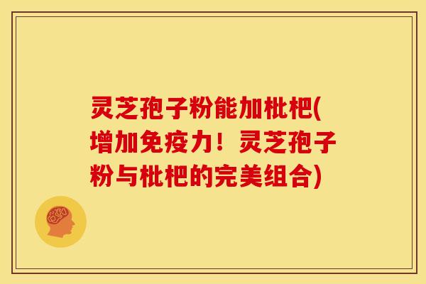 灵芝孢子粉能加枇杷(增加免疫力!灵芝孢子粉与枇杷的完美组合)