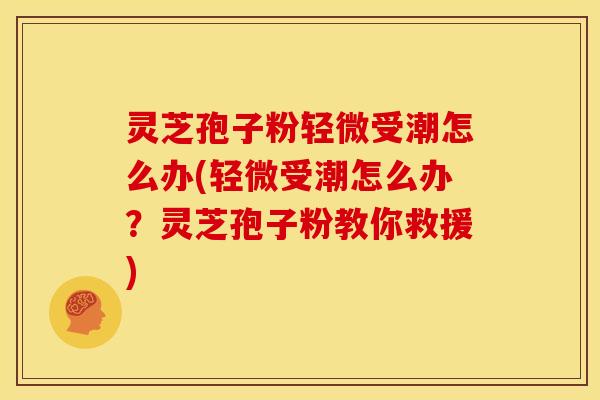 灵芝孢子粉轻微受潮怎么办(轻微受潮怎么办?灵芝孢子粉教你救援)