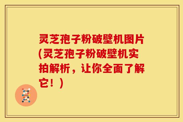 灵芝孢子粉破壁机图片(灵芝孢子粉破壁机实拍解析,让你全面了解它!)