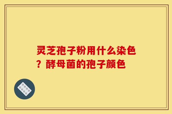 灵芝孢子粉用什么染色?酵母菌的孢子颜色