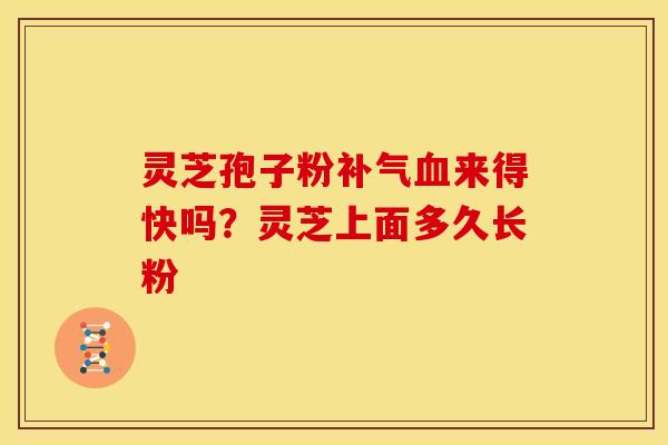 灵芝孢子粉补气血来得快吗？灵芝上面多久长粉