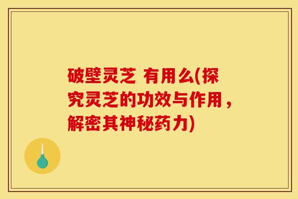 破壁灵芝 有用么(探究灵芝的功效与作用,解密其神秘药力)