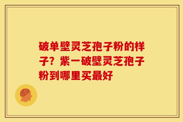 破单壁灵芝孢子粉的样子?紫一破壁灵芝孢子粉到哪里买最好