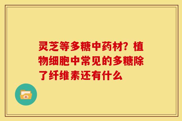 灵芝等多糖中药材?植物细胞中常见的多糖除了纤维素还有什么