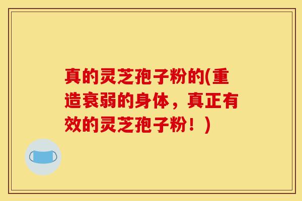 真的灵芝孢子粉的(重造衰弱的身体,真正有效的灵芝孢子粉!)