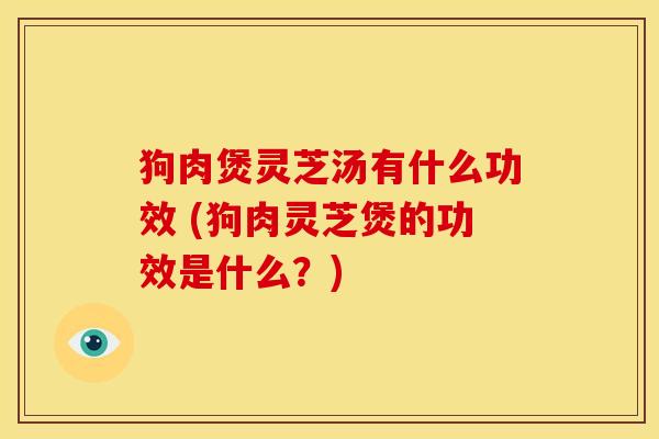 狗肉煲灵芝汤有什么功效 (狗肉灵芝煲的功效是什么?)