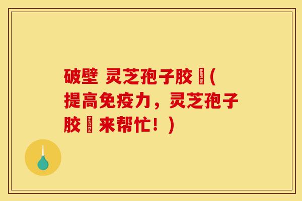 破壁 灵芝孢子胶堯(提高免疫力，灵芝孢子胶堯来帮忙！)