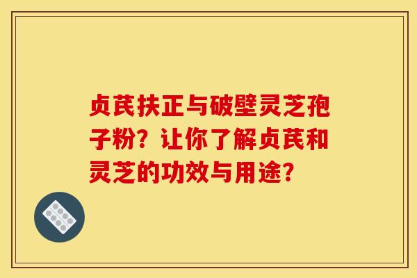 贞芪扶正与破壁灵芝孢子粉?让你了解贞芪和灵芝的功效与用途?