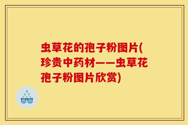 虫草花的孢子粉图片(珍贵中药材——虫草花孢子粉图片欣赏)