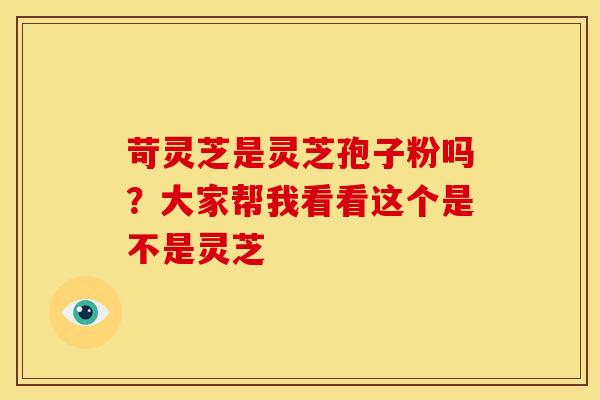 苛灵芝是灵芝孢子粉吗?大家帮我看看这个是不是灵芝