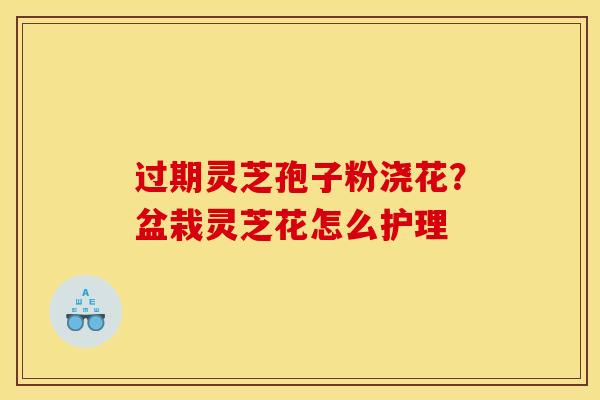 过期灵芝孢子粉浇花?盆栽灵芝花怎么护理