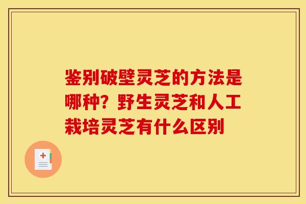 鉴别破壁灵芝的方法是哪种？野生灵芝和人工栽培灵芝有什么区别