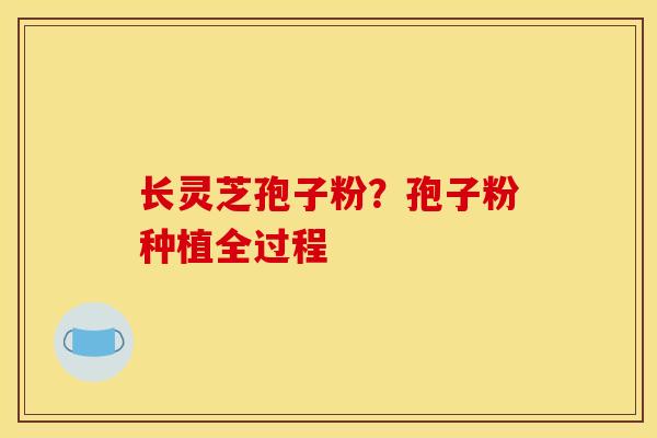 长灵芝孢子粉?孢子粉种植全过程