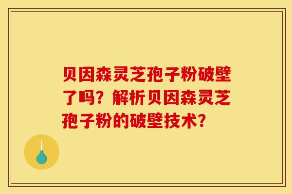 贝因森灵芝孢子粉破壁了吗?解析贝因森灵芝孢子粉的破壁技术?