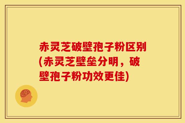 赤灵芝破壁孢子粉区别(赤灵芝壁垒分明,破壁孢子粉功效更佳)
