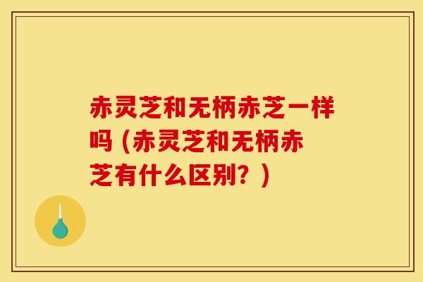 赤灵芝和无柄赤芝一样吗 (赤灵芝和无柄赤芝有什么区别？)