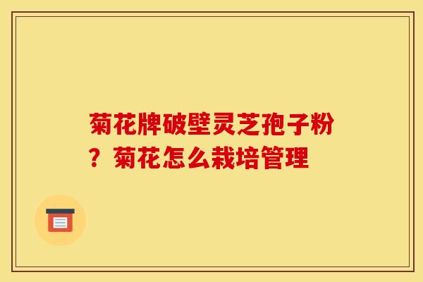 菊花牌破壁灵芝孢子粉?菊花怎么栽培管理