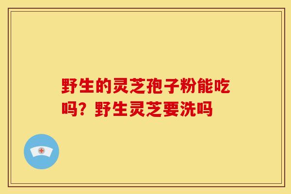 野生的灵芝孢子粉能吃吗?野生灵芝要洗吗