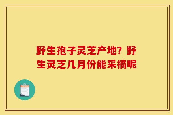 野生孢子灵芝产地?野生灵芝几月份能采摘呢