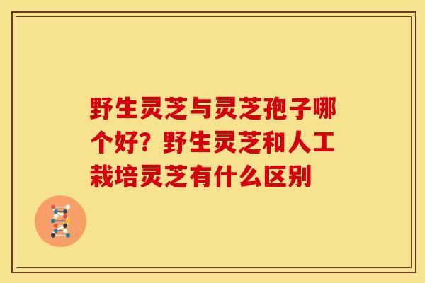 野生灵芝与灵芝孢子哪个好?野生灵芝和人工栽培灵芝有什么区别