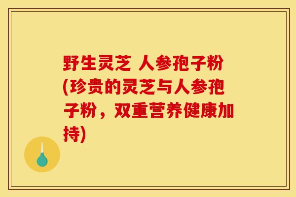 野生灵芝 人参孢子粉(珍贵的灵芝与人参孢子粉,双重营养健康加持)