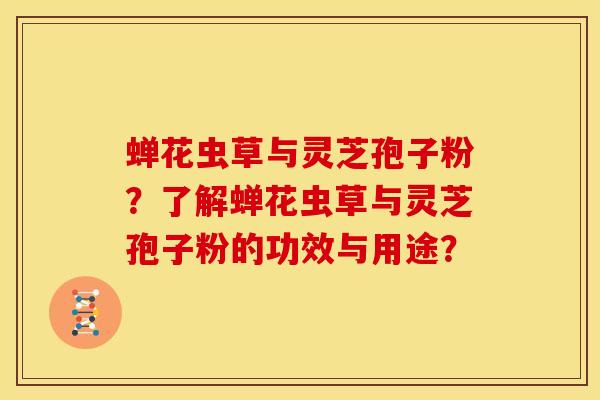 蝉花虫草与灵芝孢子粉？了解蝉花虫草与灵芝孢子粉的功效与用途？