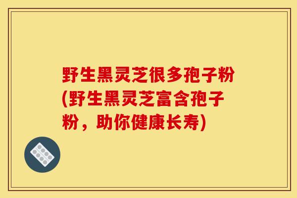 野生黑灵芝很多孢子粉(野生黑灵芝富含孢子粉,助你健康长寿)