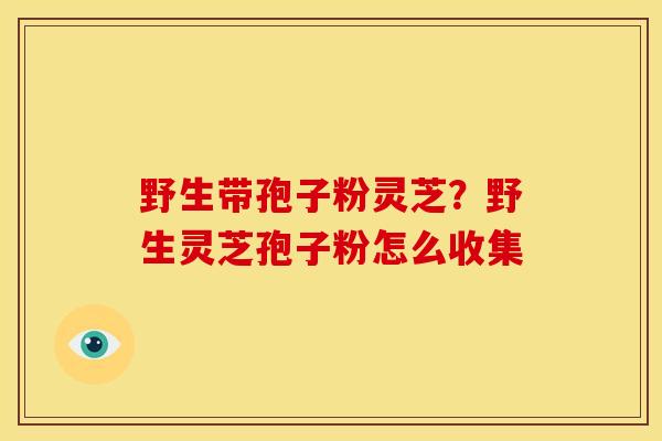 野生带孢子粉灵芝?野生灵芝孢子粉怎么收集