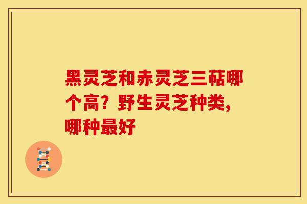 黑灵芝和赤灵芝三萜哪个高?野生灵芝种类,哪种最好