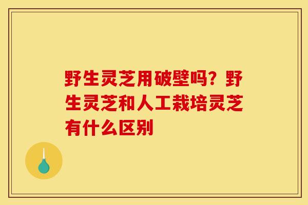 野生灵芝用破壁吗?野生灵芝和人工栽培灵芝有什么区别