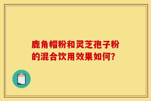 鹿角帽粉和灵芝孢子粉的混合饮用效果如何?