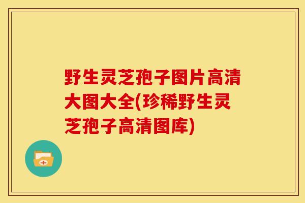 野生灵芝孢子图片高清大图大全(珍稀野生灵芝孢子高清图库)