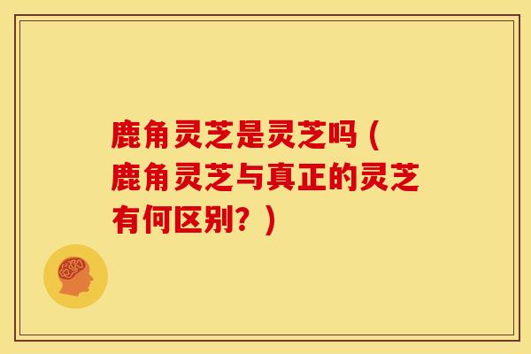 鹿角灵芝是灵芝吗 (鹿角灵芝与真正的灵芝有何区别？)
