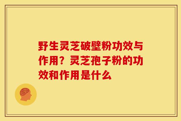 野生灵芝破壁粉功效与作用?灵芝孢子粉的功效和作用是什么