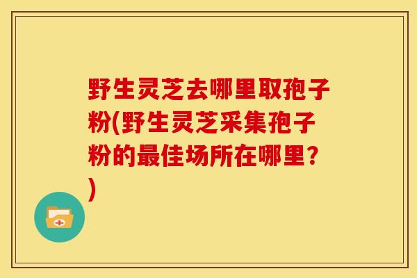 野生灵芝去哪里取孢子粉(野生灵芝采集孢子粉的最佳场所在哪里？)
