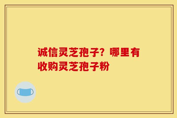 诚信灵芝孢子?哪里有收购灵芝孢子粉