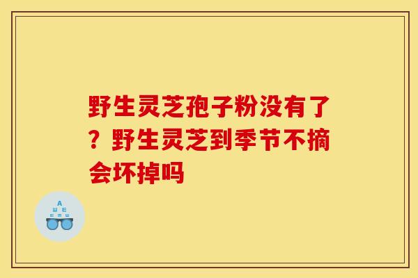 野生灵芝孢子粉没有了?野生灵芝到季节不摘会坏掉吗