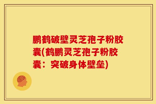鹏鹤破壁灵芝孢子粉胶囊(鹤鹏灵芝孢子粉胶囊:突破身体壁垒)