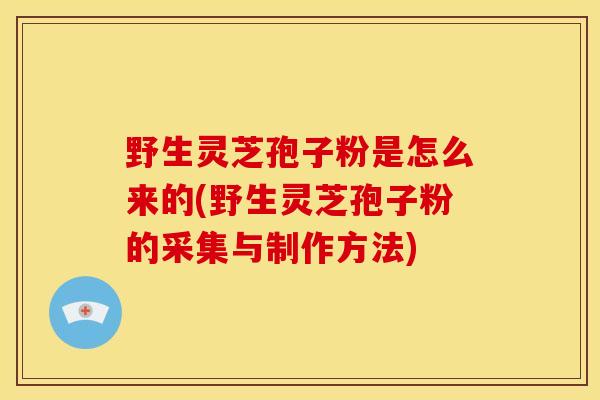 野生灵芝孢子粉是怎么来的(野生灵芝孢子粉的采集与制作方法)
