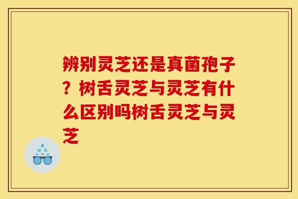 辨别灵芝还是真菌孢子?树舌灵芝与灵芝有什么区别吗树舌灵芝与灵芝
