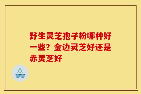 野生灵芝孢子粉哪种好一些?金边灵芝好还是赤灵芝好