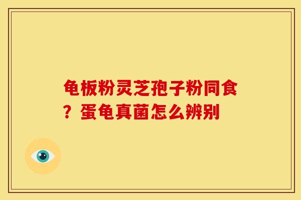 龟板粉灵芝孢子粉同食？蛋龟真菌怎么辨别