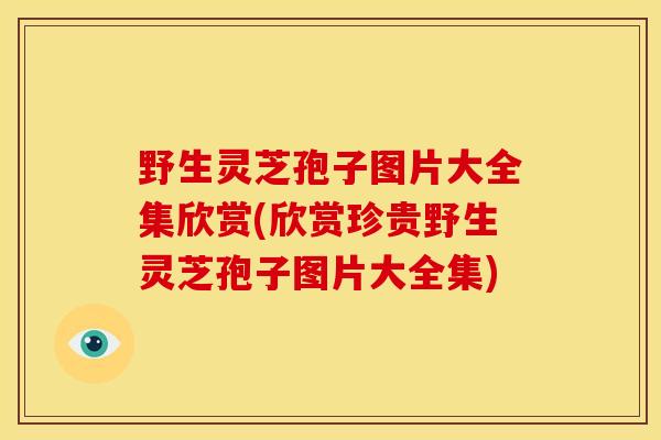 野生灵芝孢子图片大全集欣赏(欣赏珍贵野生灵芝孢子图片大全集)