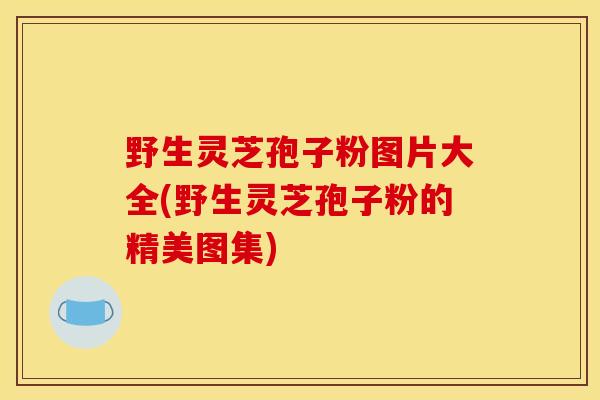 野生灵芝孢子粉图片大全(野生灵芝孢子粉的精美图集)