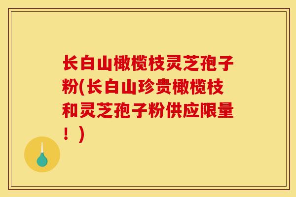 长白山橄榄枝灵芝孢子粉(长白山珍贵橄榄枝和灵芝孢子粉供应限量！)