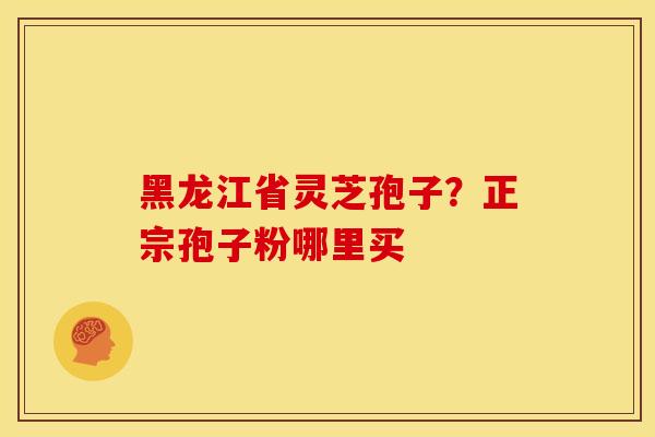 黑龙江省灵芝孢子？正宗孢子粉哪里买