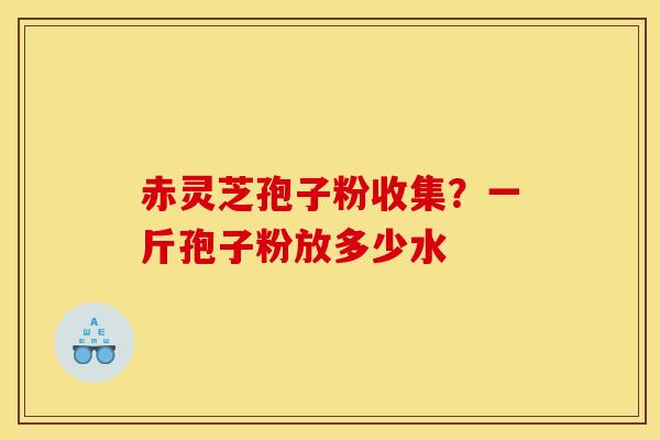 赤灵芝孢子粉收集?一斤孢子粉放多少水